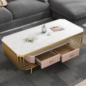Lavish Center Table with Storage and Marble Top